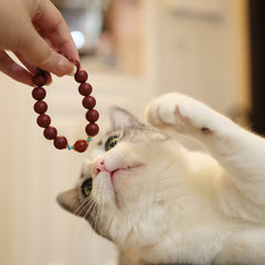 【Rosy-cheeked】Herbal Scent Rose Ginseng and Blood-Nourishing Bracelet 12mm