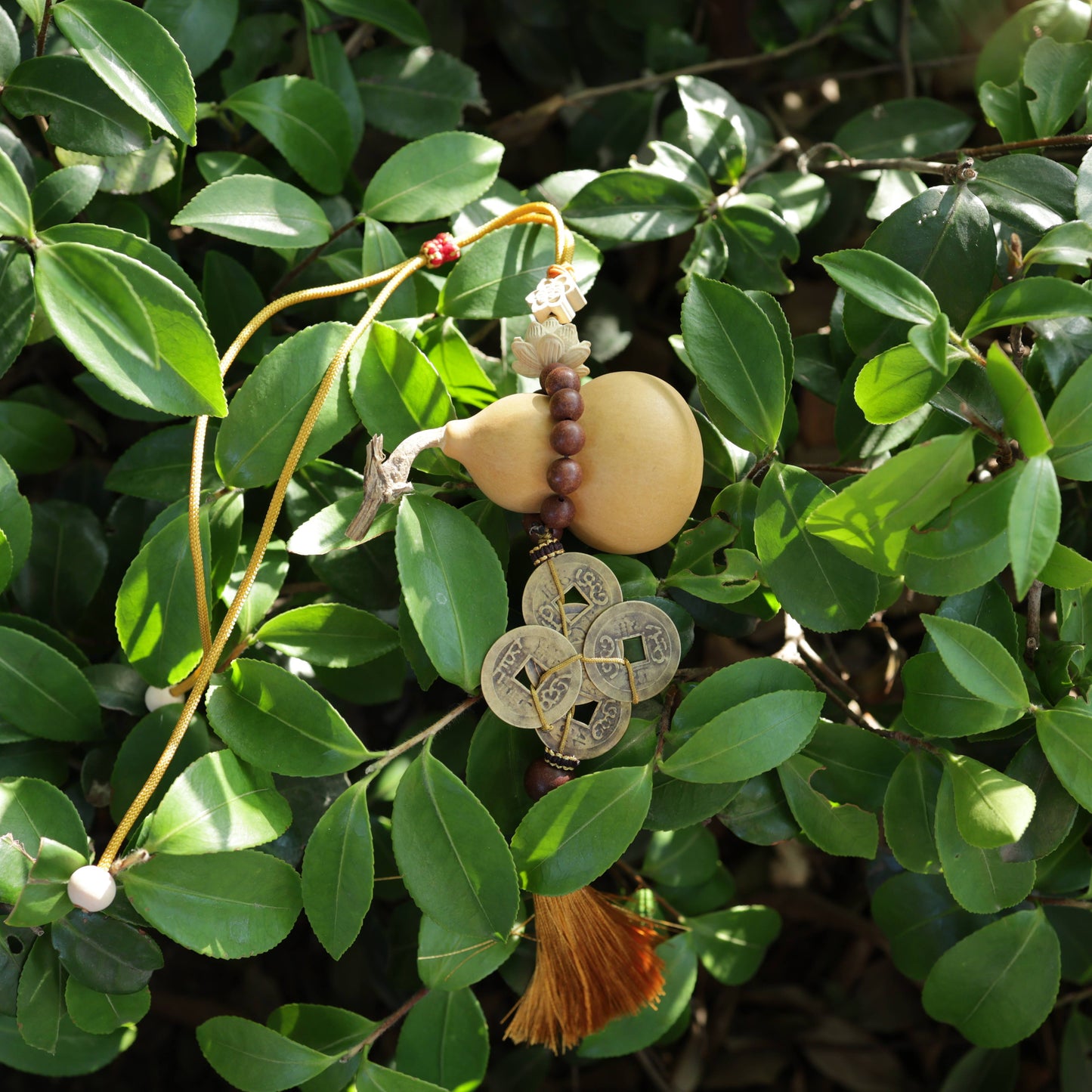 【Vitalizing】Herbal Scent Wealth-Attracting Vitality Car Charm - Ginseng Angelica Gourd & Five Emperor Coins