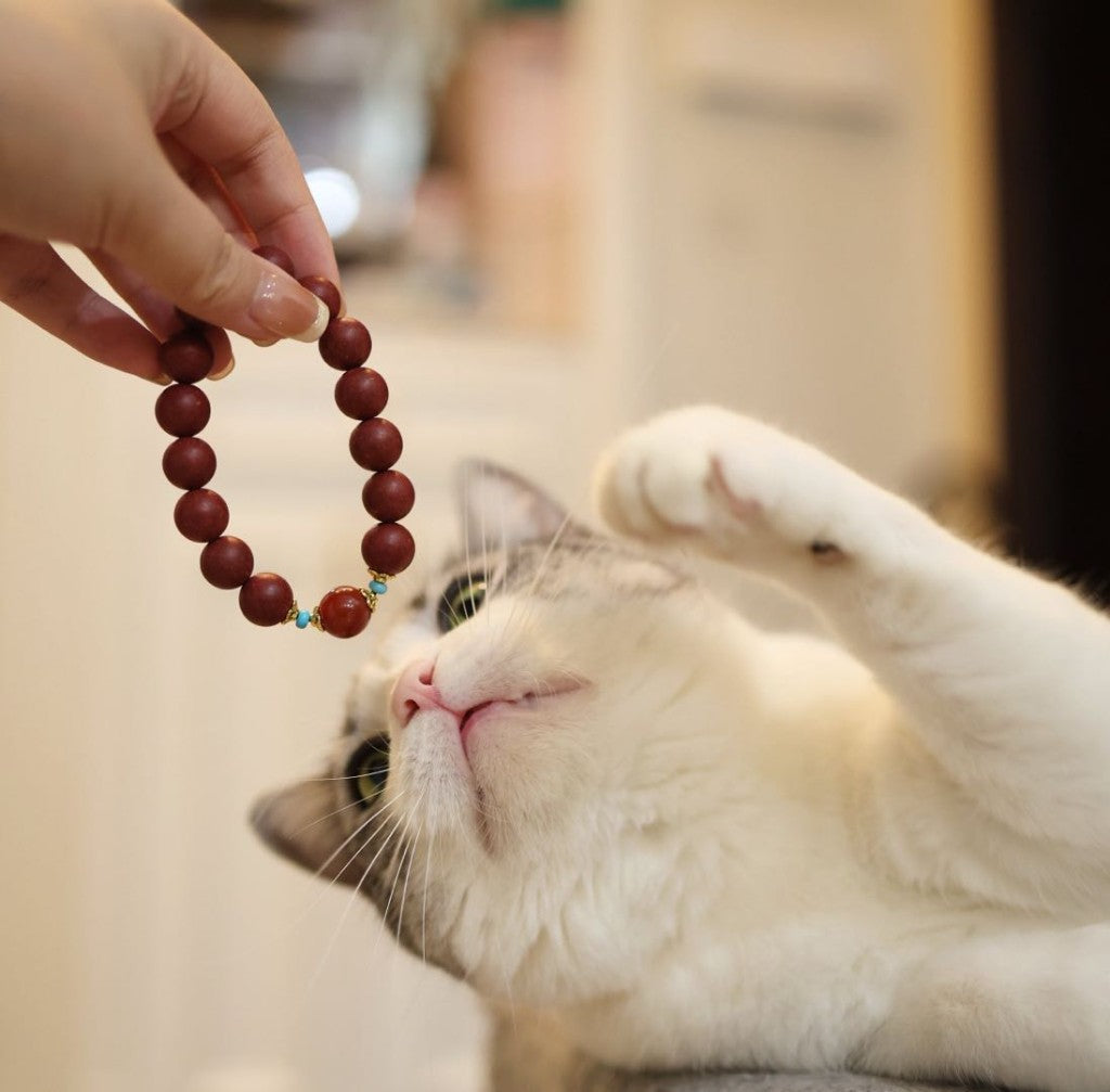 Hand holding a pet-safe Herbal Scent bracelet while a curious cat looks on