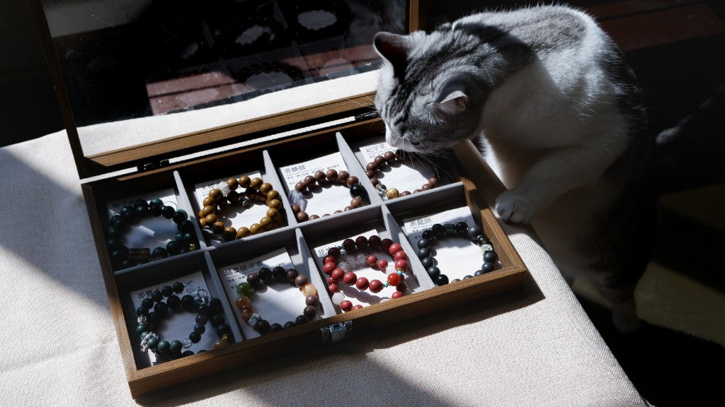 Cat gently sniffing a pet-safe Herbal Scent bracelet